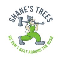 Shane's Trees image 1